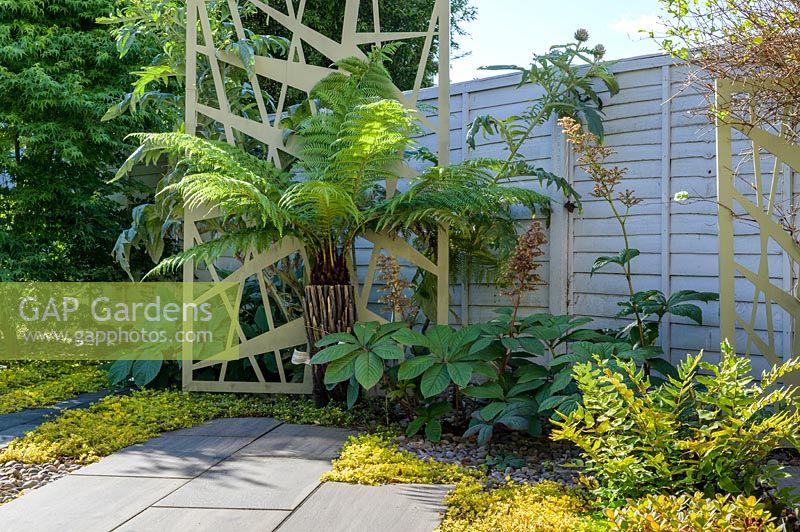Shady border with Dicksonia antarctica - Tree fern,  Rodgersia aesculifolia and Lysimachia nummularia 'Aurea', backed by decorative powder-coated aluminium pattern screen in modern north London garden by Earth Designs. 