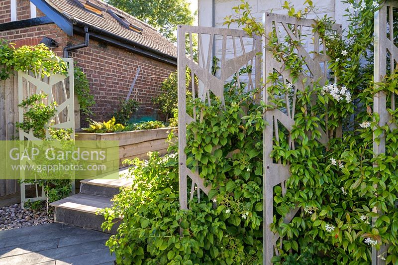 Decorative screens support climbing Hydrangea anomala subsp. petiolaris in modern Garden in North London by Earth Designs.
