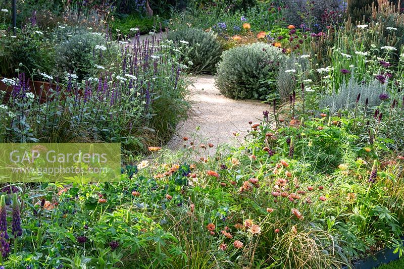 View of desert-like sand path surrounded mixed borders with tropical and Mediterranean plants. The Winton Beauty of Mathematics Garden. The RHS Chelsea Flower Show, 2016. Sponsor: Winton.