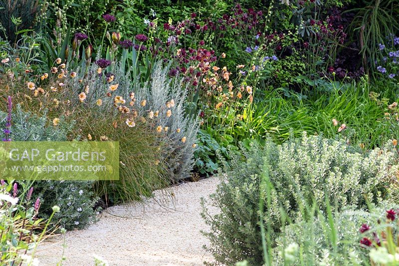 View of desert-like sand path surrounded mixed borders with tropical and Mediterranean plants. The Winton Beauty of Mathematics Garden. The RHS Chelsea Flower Show, 2016. Sponsor: Winton.