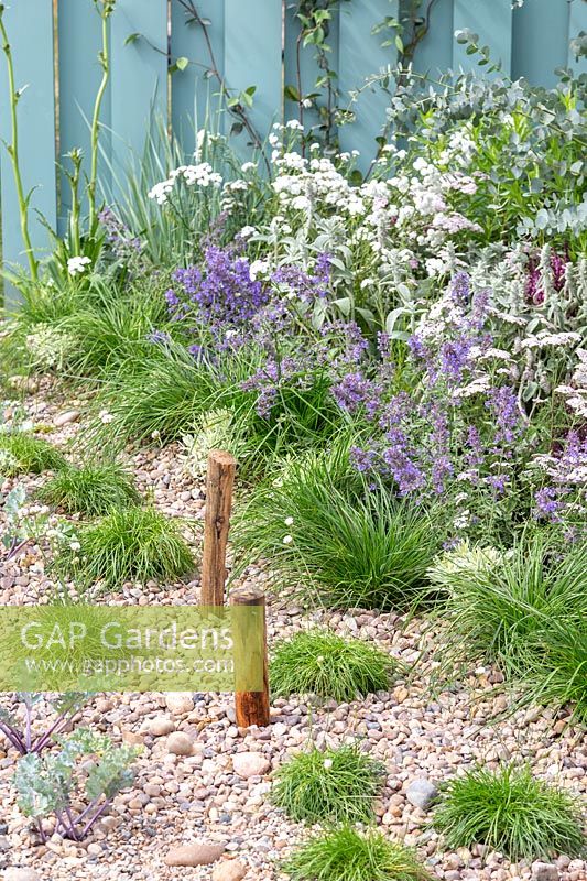 Seaside gravel garden with painted timber fence. By The Sea, RHS Hampton Court Palace Flower Show, 2017. Design: James Callicott, Sponsors: Southend. 