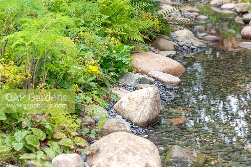 Shallow stream in woodland garden with edging of rocks and pebbles. The Zoflora and Caudwell Children's Wild Garden. RHS Hampton Court Palace Flower Show, 2017. Designers: Adam White and Andree Davies.