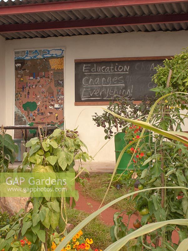 A typical Zimbabwean classroom and garden inspired and sponsored by  CAMFED - The Campaign for Female Education at RHS Chelsea Flower Show, 2019. 