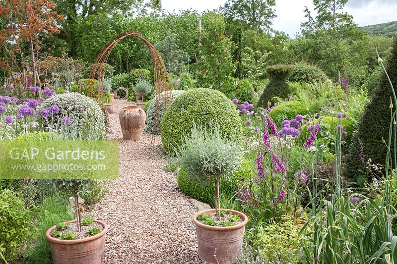 Double border with evergreen topiary Box balls and feature pots of Lavandula standards. 


