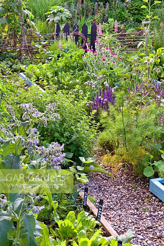 Kitchen garden with mixed beds planted with herbs, vegetables and flowers, including borage, carrots, onion and lettuces in foreground.