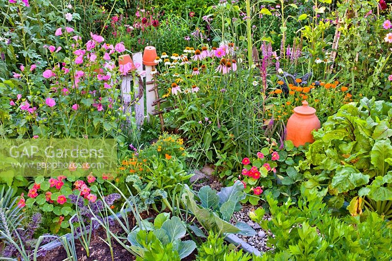 Kitchen garden in July with raised beds and mixed companion planting. 