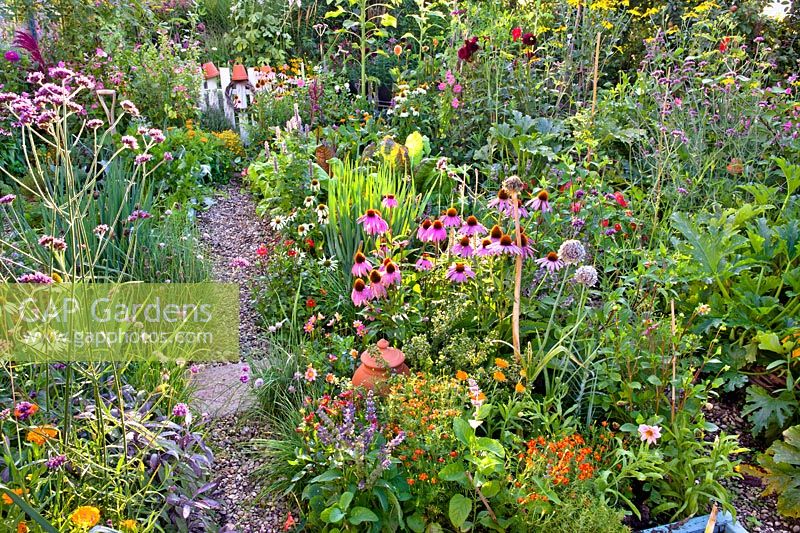 Overview of vegetable garden with gravel path through beds of beneficial perennials. 
