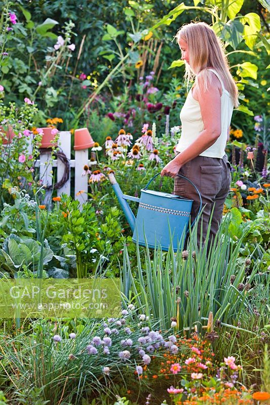 Woman watering in vegetable garden.