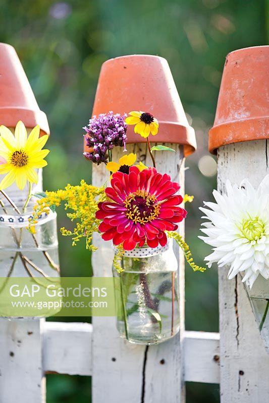 Summer flowers in glass jars attached to a wooden picket fence. zinnia, dahlia, sunflowers, verbena, coneflower.