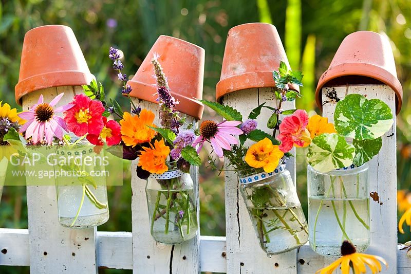 Edible flowers and herbs in glass jars attached to a wooden picket fence.