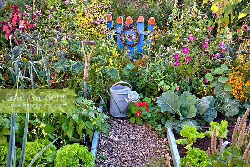Vegetable and flower beds  with a watering can on the path between borders 