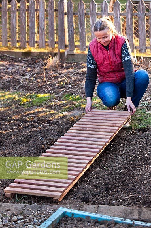 Woman making a wooden path from slats. Placing between beds.