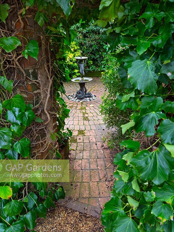 View through Hedera - Ivy - to bricks laid in a circle with a central fountain 