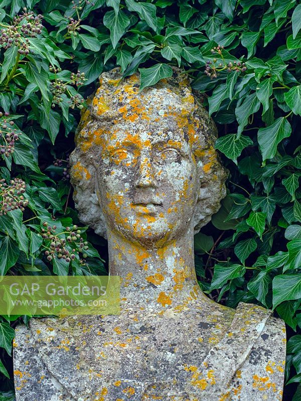 Statue, with lichen, against Hedera - Ivy - backdrop