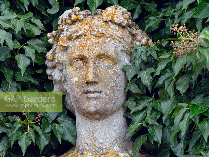 Statue entwined with Ivy Hedera 