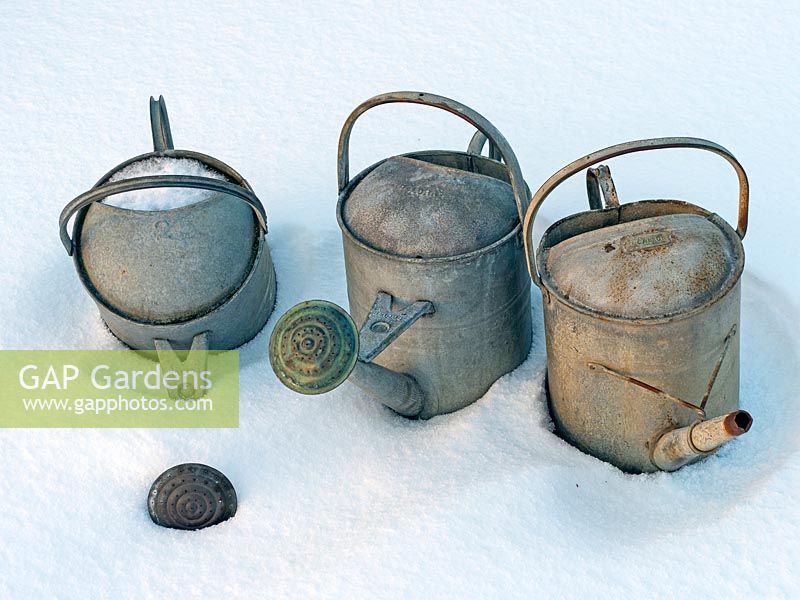 Old metal watering cans in mid winter under snow. 