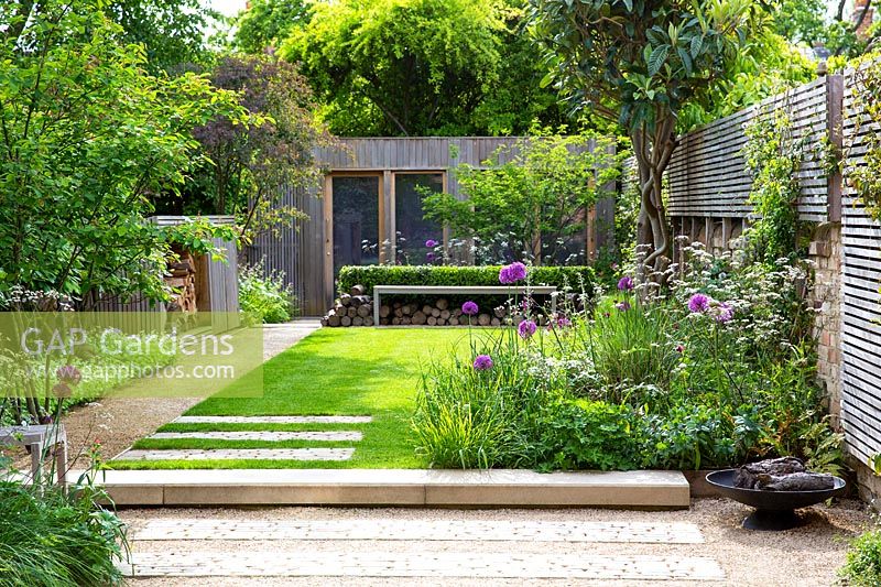 A contemporary city garden with borders of alliums and cow parsley, lawn, bench and raised wooden screen for extra privacy.