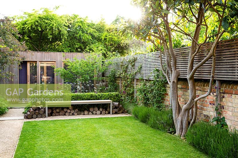 A contemporary city garden with borders of alliums and cow parsley, lawn, bench and raised wooden screen for extra privacy.