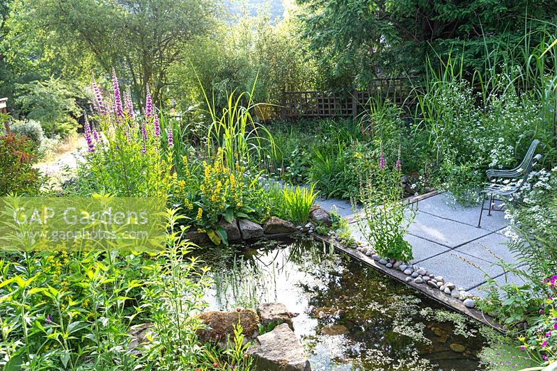A patio seating area beside a pond planted with Lythrum salicaria and Lysimachia punctata.