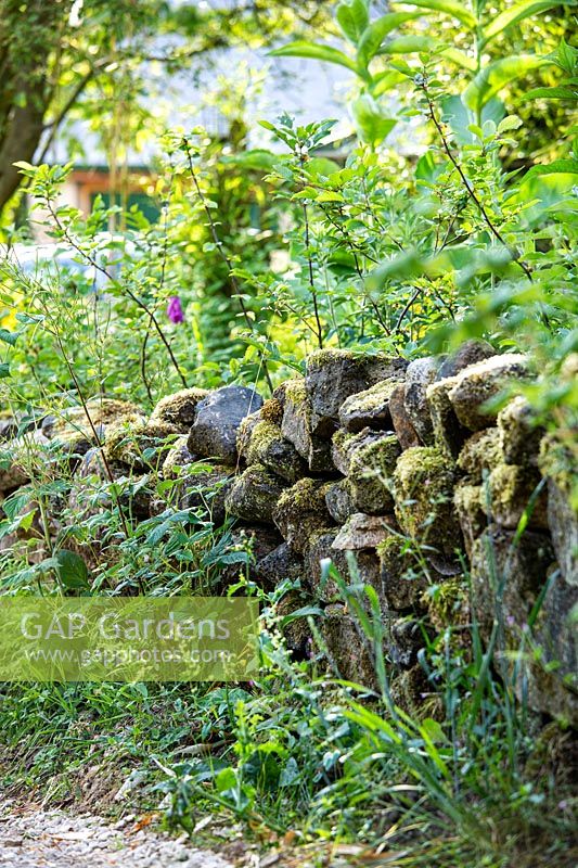A weathered moss-covered stone wall.