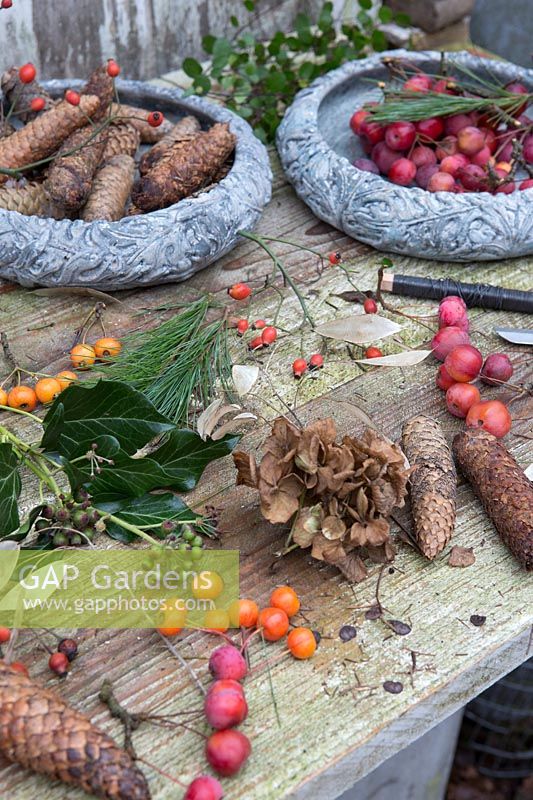 Materials and tools for making a wreath, including Hydrangea dried flowers, rosehips, crab apples, pinecones and foliage. Styling by Marieke Nolsen.
