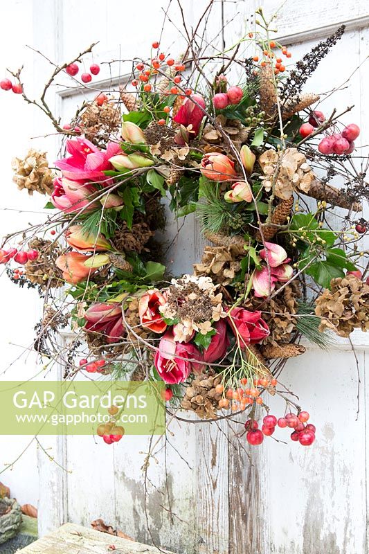 Floral wreath with Hippeastrum, Malus - Crabapple, Pinus - Pine cones, dried Hydrangea flowers