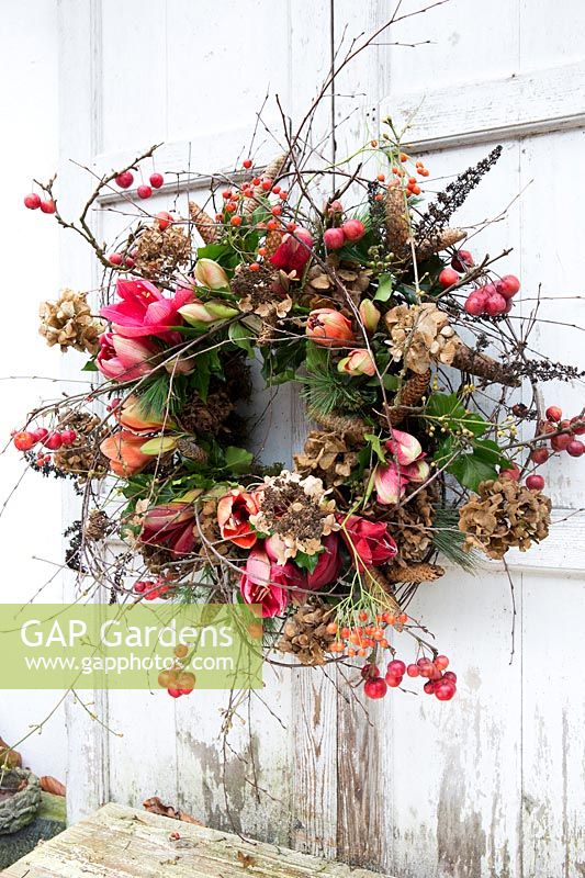 Floral wreath with Hippeastrum, Malus - Crabapple, Pinus - Pine cones, dried Hydrangea flowers
