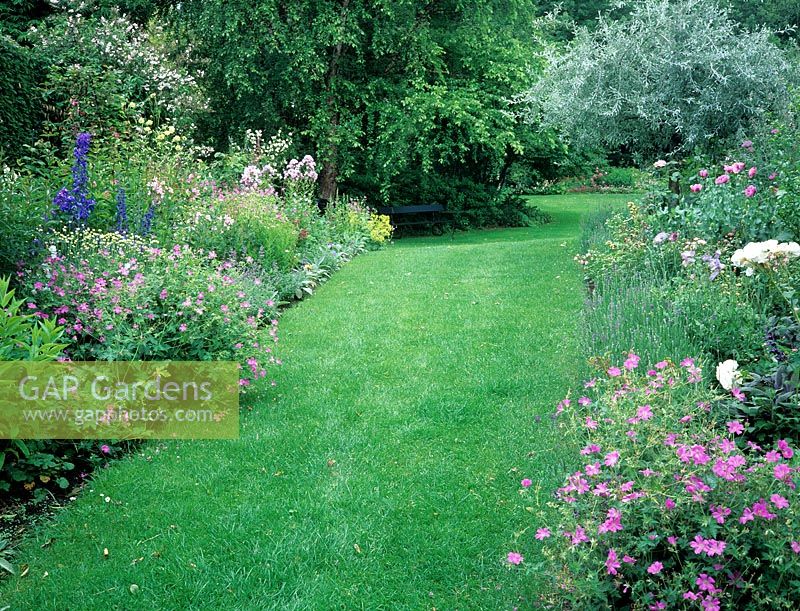 Grass pathway with double borders including geraniums and delphiniums. 
