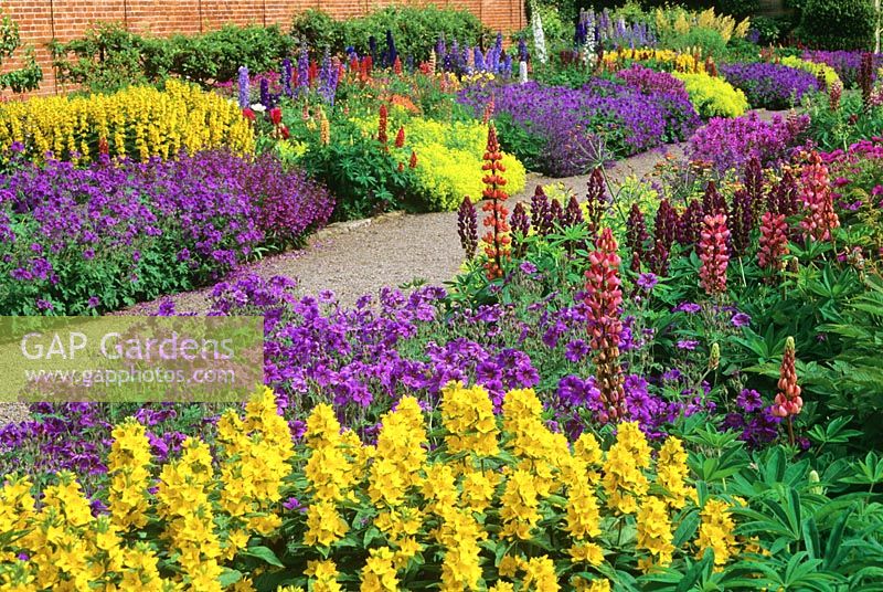 View over colourful mixed flowerbeds with geraniums and lupines. 
