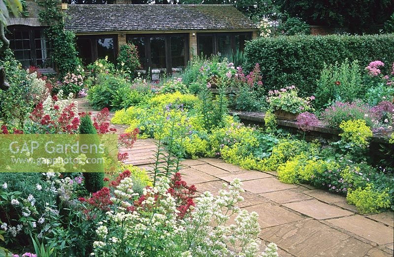 View of paved pathway surrounded by flowering perennials with view of house in the background. 

