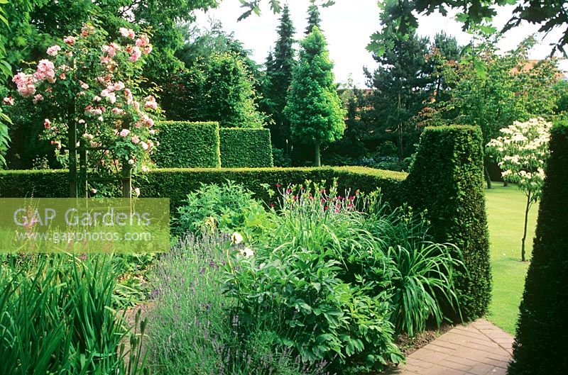 Mixed summer border enclosed with a shaped hedge 
