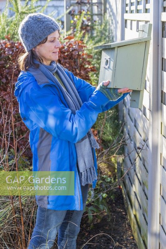 Woman taking down a bird box in Winter for cleaning and restoration
