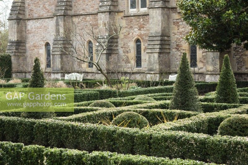Knot garden of Euonymus 'Green Spire' punctuated by yew pyramids and spheres in the East Garden at Bishop's Palace, Wells in March