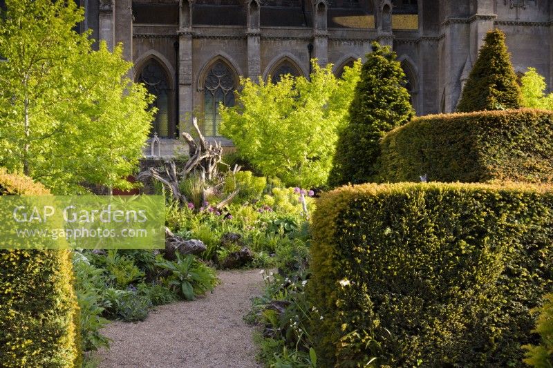The Stumpery at Arundel Castle in May where sculptural tree stumps are surrounded by lush planting including ferns, alliums, euphorbias, hostas and liquidambars, framed by yew hedging and with the backdrop of Arundel Cathedral.