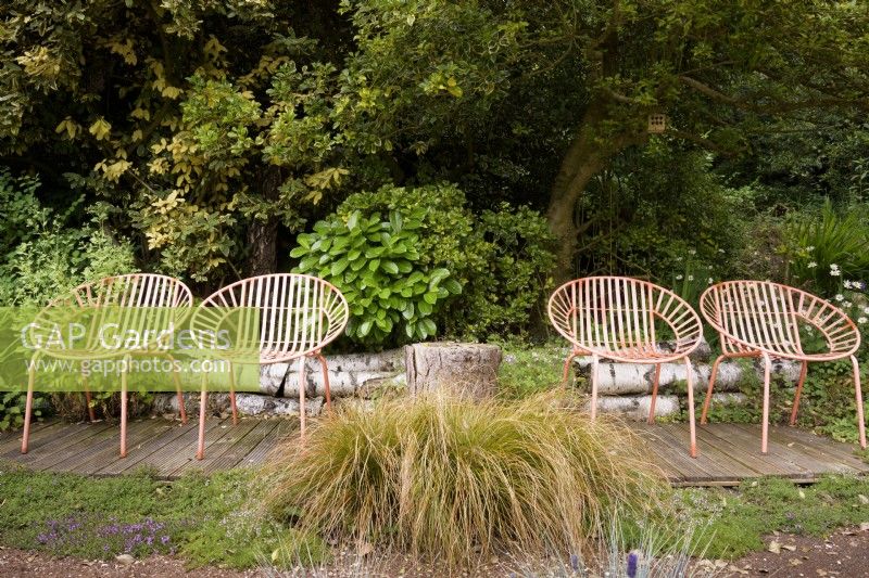 A quartet of orange metal garden seats surrounded by lush planting including evergreen shrubs such as Prunus laurocerasus and hollies, orange sedge Carex testacea and creeping thymes in a cottage garden in June