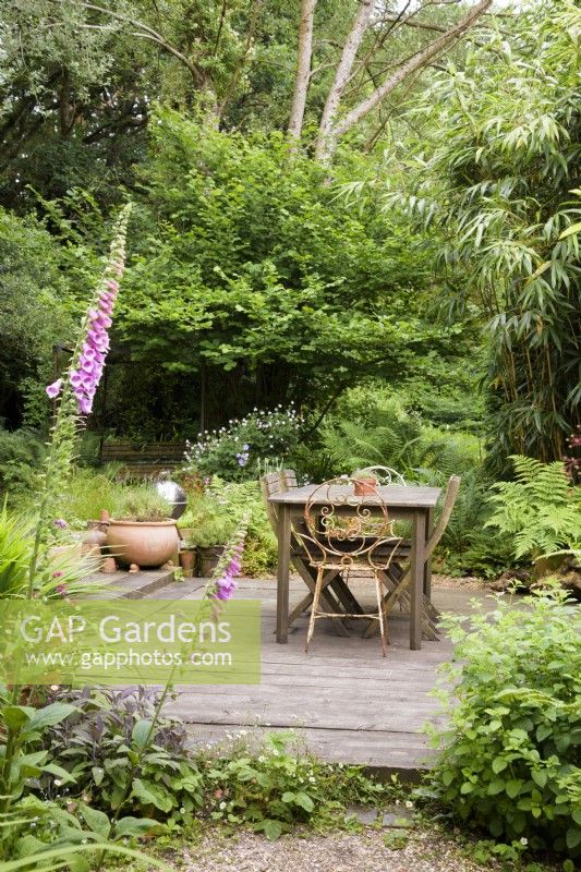 Simple dining deck surrounded by trees and soft planting including bamboo, foxgloves, ferns, Erigeron karvinskianus and lemon balm, Melissa officinalis in a cottage garden in June