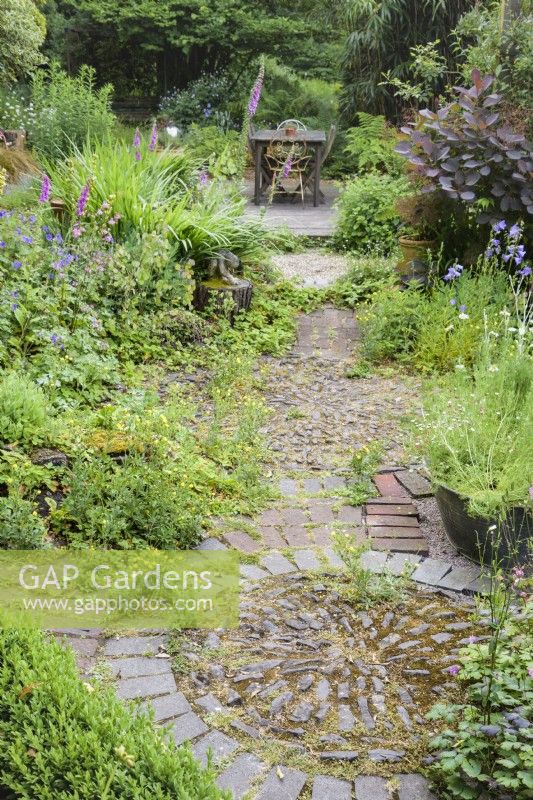 A circular pattern of inset stones at the junction of paths in a cottage garden in June surrounded by self-seeded aquilegias and wild strawberries.
