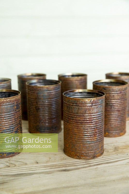 Rusty tin cans on wooden surface