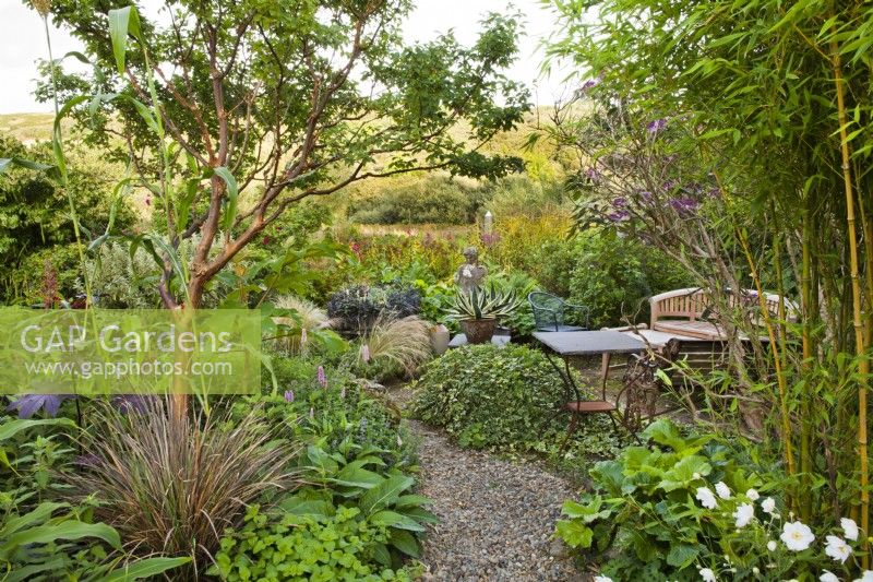 Courtyard with mixed borders, containers and relaxing area. Design: Christina Shand,