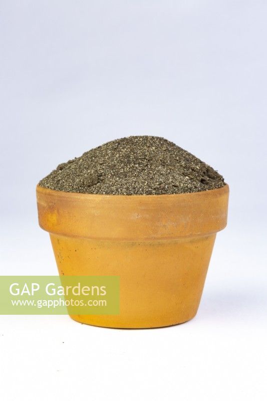 A sample of sandy soil in a terracotta pot
