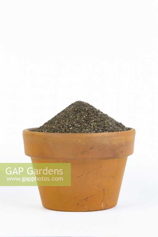 A sample of sandy soil in a terracotta pot