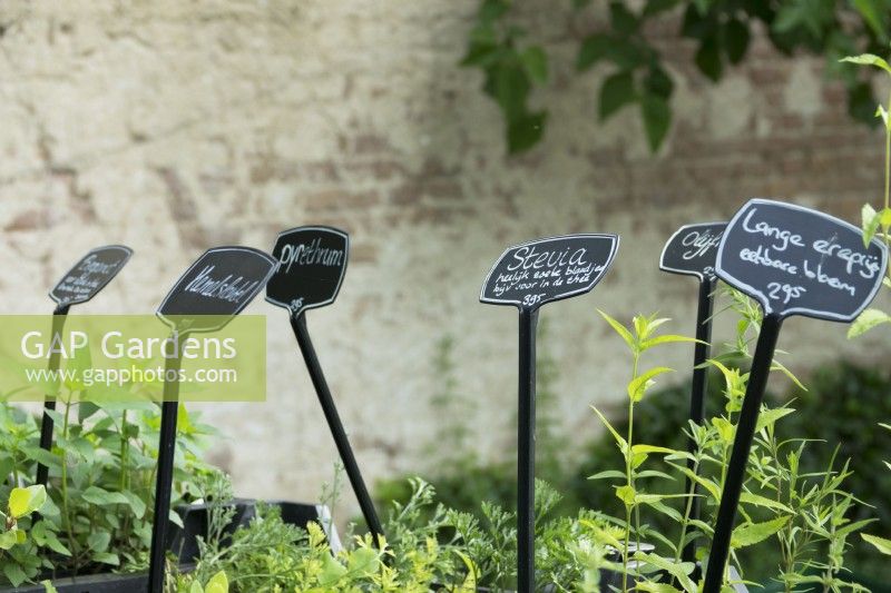Plant name plates at the nursery.