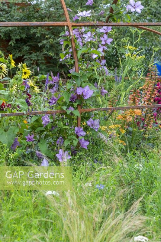 Canal  and  River Trust: Message in a Bottle.  A rusted iron, bottle-shaped frame filled with a thriving garden of clematis, rudbeckias, salvias and coneflowers.