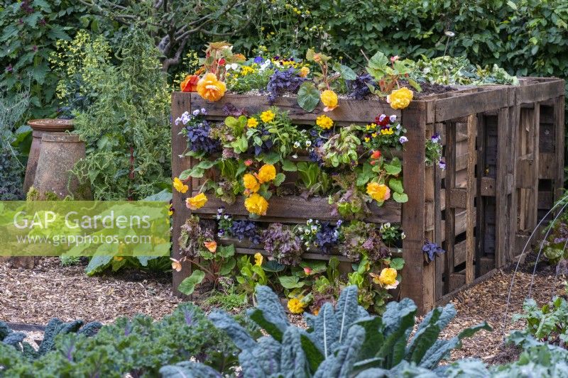 RHS No Dig Allotment Demonstration Garden. An ornamental compost heap made from old pallets.