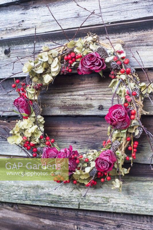 Frosted Christmas wreath with red roses, berries and dried hydrangeas