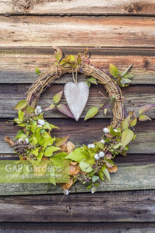 Rustic Christmas wreath made with foraged hedera; Snowberry; Fagus and clematis foliage and heart decoration hanging on shed