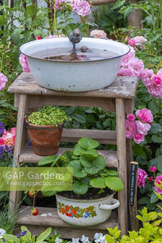 Down Memory Lane. An enamel bowl perched atop a wooden set of steps, set amidst roses and lavender, creates a pretty feature.