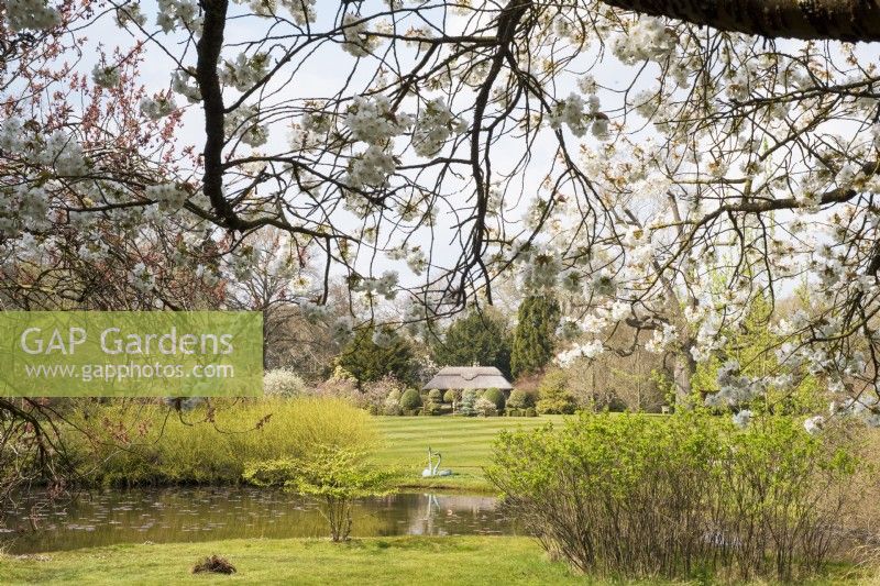 Early large spring garden view with blossom, pool and garden house