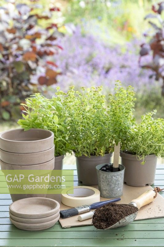 Marjoram, Thyme, Lemon verbena, compost, compost scoop, masking tape, black masonry paint, paint brush, chalk pen, terracotta pots and saucers laid out on a table