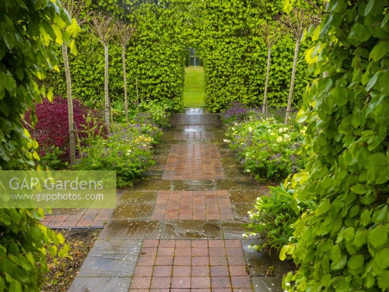 Paved path between formal beds leading to arch cut in Caprinus betulus - Hornbeam - hedge 